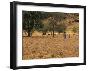 West African Herder and Cows, Mali, West Africa-Ellen Clark-Framed Photographic Print