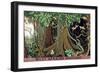 West African Mahogany-Keith Henderson-Framed Giclee Print