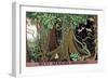 West African Mahogany-Keith Henderson-Framed Giclee Print