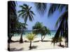 West Bay at the Western Tip of Roatan, Largest of the Bay Islands, Honduras, Caribbean-Robert Francis-Stretched Canvas