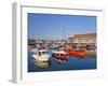 West Bay Harbour with Yachts and Fishing Boats, Bridport, UNESCO World Heritage Site, England-Neale Clarke-Framed Photographic Print