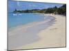 West Bay, Roatan, Bay Islands, Honduras, Central America-Jane Sweeney-Mounted Photographic Print