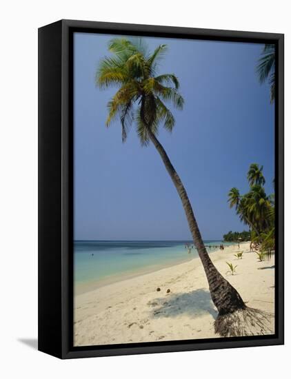 West Bay, Roatan, Largest of the Bay Islands, Honduras, Caribbean, Central America-Robert Francis-Framed Stretched Canvas