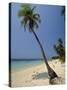 West Bay, Roatan, Largest of the Bay Islands, Honduras, Caribbean, Central America-Robert Francis-Stretched Canvas