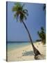 West Bay, Roatan, Largest of the Bay Islands, Honduras, Caribbean, Central America-Robert Francis-Stretched Canvas