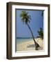 West Bay, Roatan, Largest of the Bay Islands, Honduras, Caribbean, Central America-Robert Francis-Framed Photographic Print