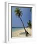 West Bay, Roatan, Largest of the Bay Islands, Honduras, Caribbean, Central America-Robert Francis-Framed Photographic Print