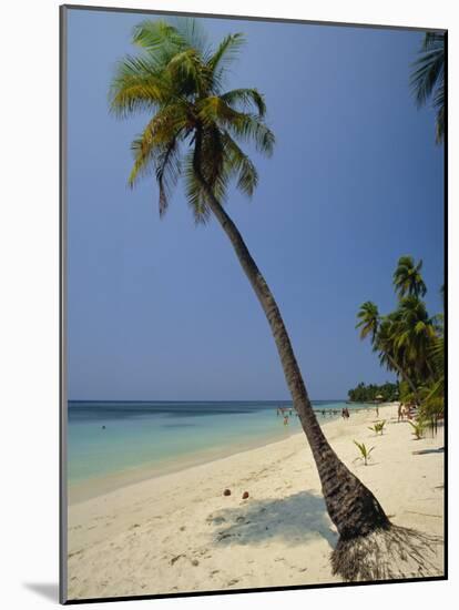 West Bay, Roatan, Largest of the Bay Islands, Honduras, Caribbean, Central America-Robert Francis-Mounted Photographic Print