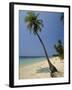 West Bay, Roatan, Largest of the Bay Islands, Honduras, Caribbean, Central America-Robert Francis-Framed Photographic Print