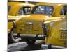 West Bengal, Kolkata, Calcutta, Yellow Ambassador Taxis, India-Jane Sweeney-Mounted Photographic Print