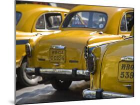 West Bengal, Kolkata, Calcutta, Yellow Ambassador Taxis, India-Jane Sweeney-Mounted Photographic Print