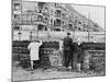 West Berliners Peer over the Infamous Berlin Wall in 1962-null-Mounted Photo