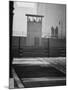 West Berliners Standing on a Sightseeing Platform on the West Side of the Wall-Ralph Crane-Mounted Photographic Print