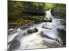 West Burton Waterfall, West Burton, Wensleydale, Yorkshire Dales National Park, Yorkshire, England,-Mark Sunderland-Mounted Premium Photographic Print