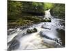 West Burton Waterfall, West Burton, Wensleydale, Yorkshire Dales National Park, Yorkshire, England,-Mark Sunderland-Mounted Photographic Print