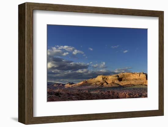 West Clark Bench in the Vermillion Cliffs Wilderness, Arizona, USA-Chuck Haney-Framed Photographic Print