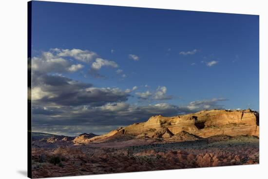 West Clark Bench in the Vermillion Cliffs Wilderness, Arizona, USA-Chuck Haney-Stretched Canvas
