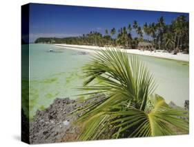 West Coast Beach, Boracay, Island off the Coast of Panay, Philippines-Robert Francis-Stretched Canvas