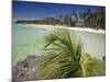 West Coast Beach, Boracay, Island off the Coast of Panay, Philippines-Robert Francis-Mounted Photographic Print