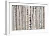 West Coast Birch-Lora Gold-Framed Art Print