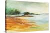 West Coast Inlet-Anne Farrall Doyle-Stretched Canvas