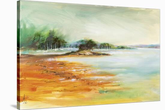 West Coast Inlet-Anne Farrall Doyle-Framed Stretched Canvas