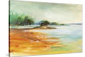 West Coast Inlet-Anne Farrall Doyle-Framed Stretched Canvas