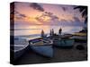West Coast of Barbados, Caribbean-Doug Pearson-Stretched Canvas