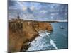 West Coast, Punta Jaguey, Faro De Cabo Rojo, Puerto Rico-Michele Falzone-Mounted Photographic Print