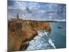 West Coast, Punta Jaguey, Faro De Cabo Rojo, Puerto Rico-Michele Falzone-Mounted Photographic Print