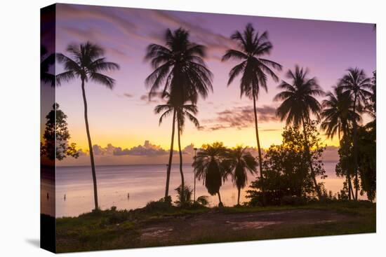 West Coast sunset, St. James, Barbados, West Indies, Caribbean, Central America-Frank Fell-Stretched Canvas