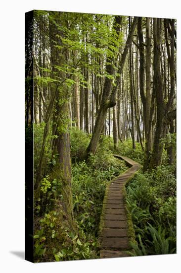 West Coast Trail Along the Pacific Northwest-Sergio Ballivian-Stretched Canvas