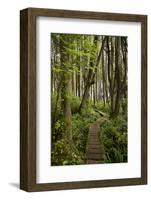 West Coast Trail Along the Pacific Northwest-Sergio Ballivian-Framed Photographic Print