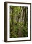 West Coast Trail Along the Pacific Northwest-Sergio Ballivian-Framed Photographic Print