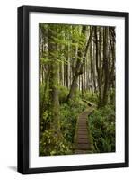 West Coast Trail Along the Pacific Northwest-Sergio Ballivian-Framed Photographic Print