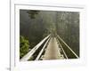 West Coast Trail - Day 3-Sergio Ballivian-Framed Photographic Print