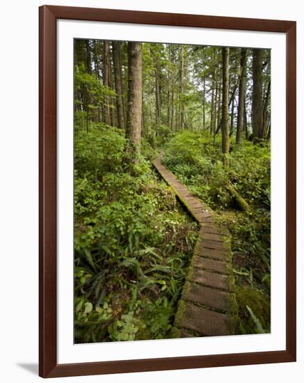 West Coast Trail - Day 3-Sergio Ballivian-Framed Photographic Print