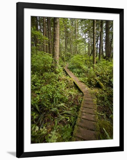 West Coast Trail - Day 3-Sergio Ballivian-Framed Photographic Print