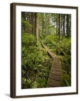 West Coast Trail - Day 3-Sergio Ballivian-Framed Photographic Print