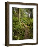 West Coast Trail - Day 3-Sergio Ballivian-Framed Photographic Print