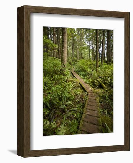 West Coast Trail - Day 3-Sergio Ballivian-Framed Photographic Print