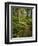 West Coast Trail - Day 3-Sergio Ballivian-Framed Photographic Print