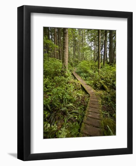 West Coast Trail - Day 3-Sergio Ballivian-Framed Photographic Print