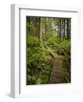 West Coast Trail - Day 3-Sergio Ballivian-Framed Photographic Print