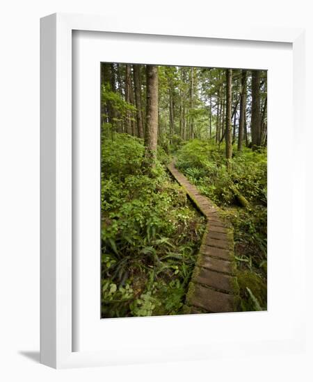 West Coast Trail - Day 3-Sergio Ballivian-Framed Photographic Print