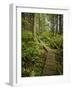 West Coast Trail - Day 3-Sergio Ballivian-Framed Photographic Print