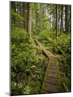 West Coast Trail - Day 3-Sergio Ballivian-Mounted Photographic Print