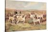 West Country Harriers-Thomas Ivester Llyod-Stretched Canvas