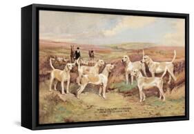 West Country Harriers-Thomas Ivester Llyod-Framed Stretched Canvas