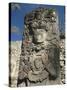 West Court, Stela P, Copan Archaeological Park, Copan, UNESCO World Heritage Site, Honduras-null-Stretched Canvas